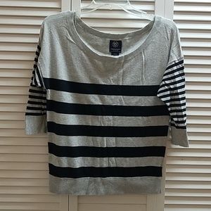 American Eagle Grey With Black Stripes Top